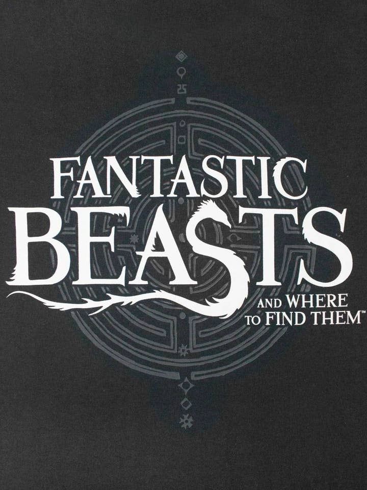Fantastic Beasts And Where To Find Them Womens Black Logo Short Sleeved T-Shirt for wholesale by Vanilla Underground