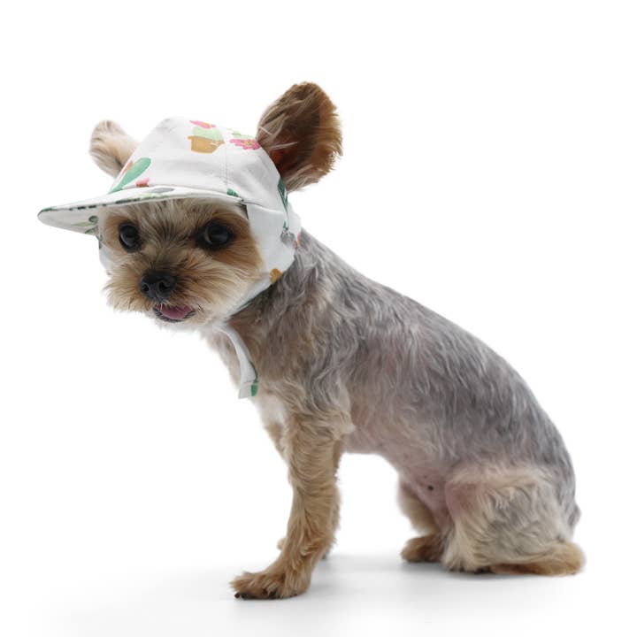 Cactus Hat for wholesale by Dogo Pet