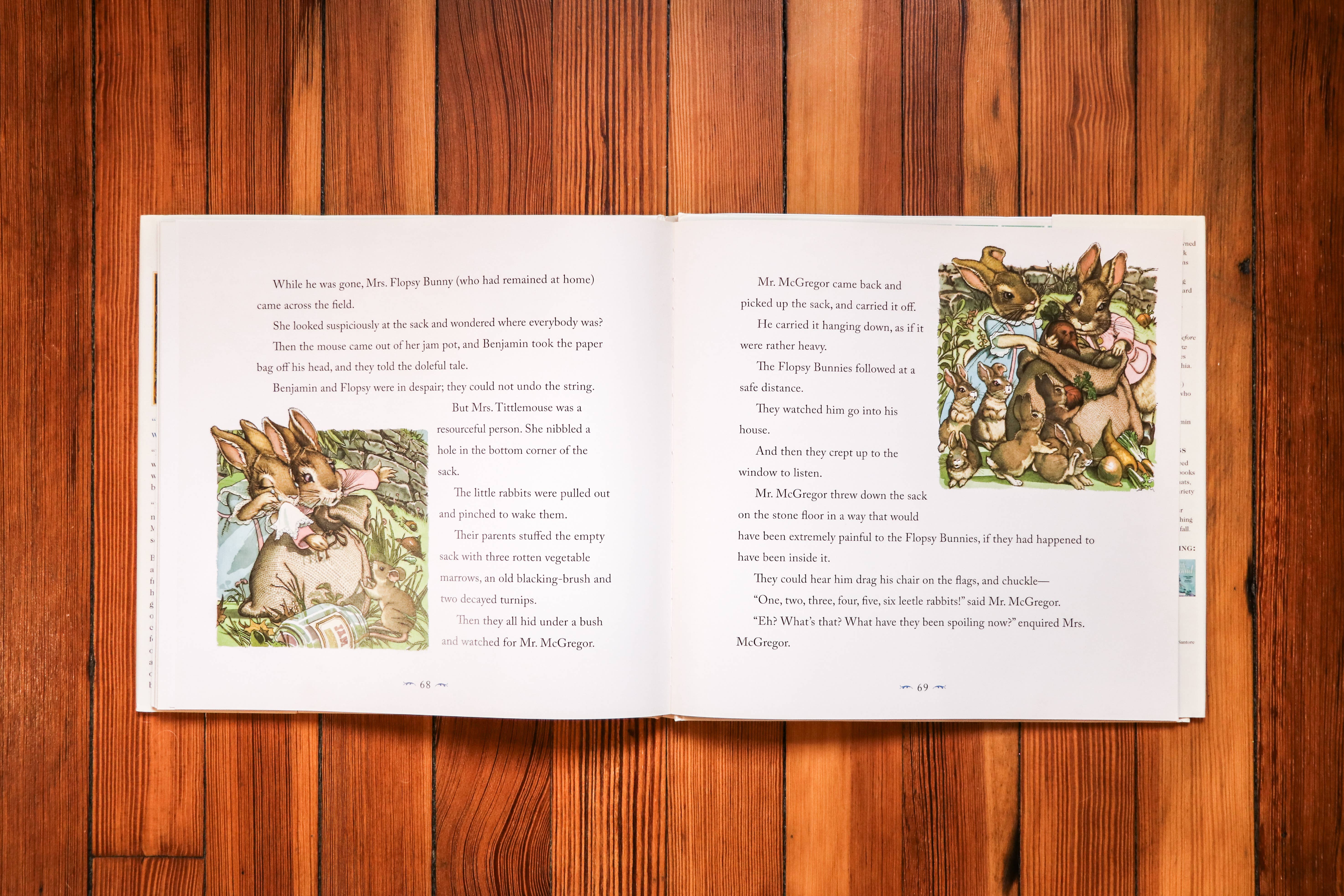 HarperCollins Focus - Wholesale Preschool Book (3-5) - The Classic Tale of Peter Rabbit Hardcover: The Classic Ed6