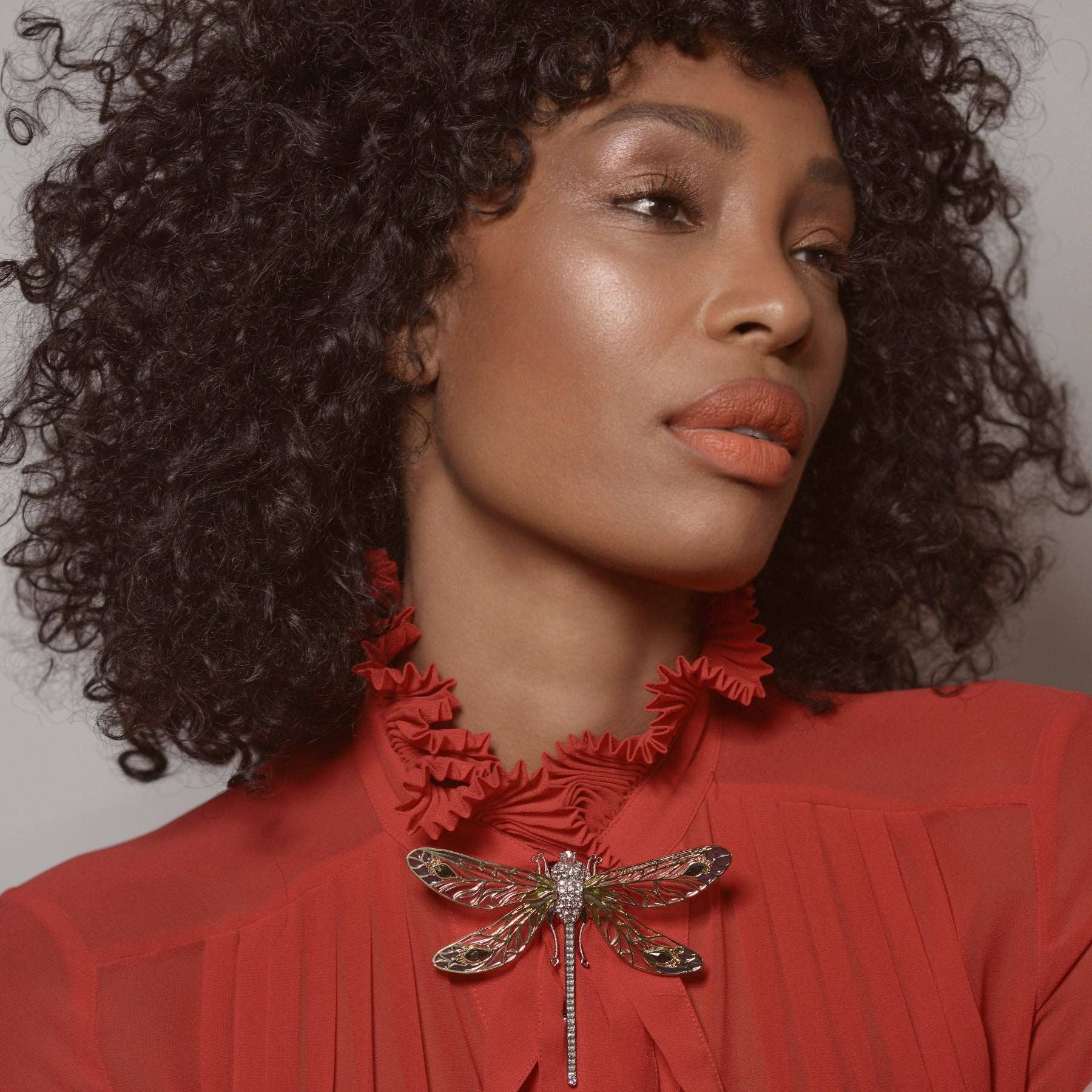 Bill Skinner - Wholesale Brooch - Dragonfly Brooch1