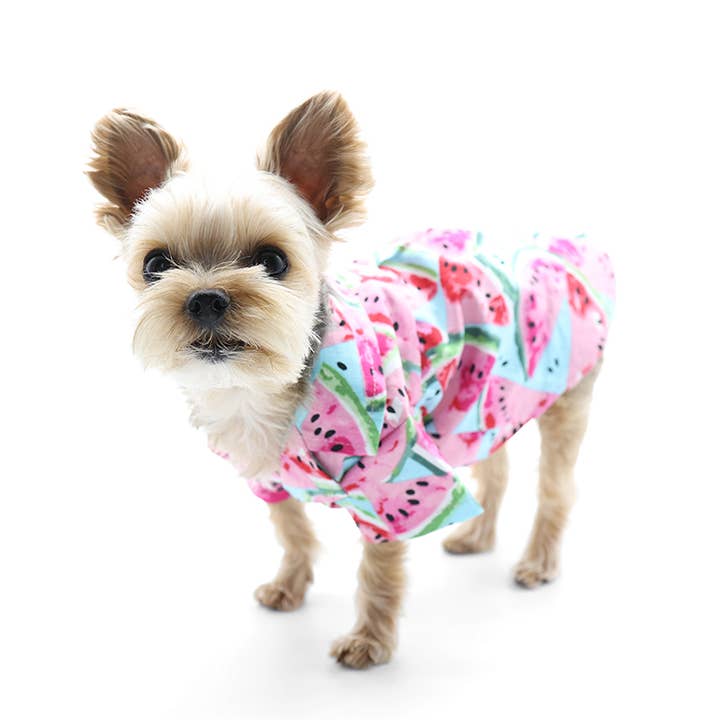 Dogo Pet - Wholesale Pet Shirt - Dog - Watermelon Shirt2