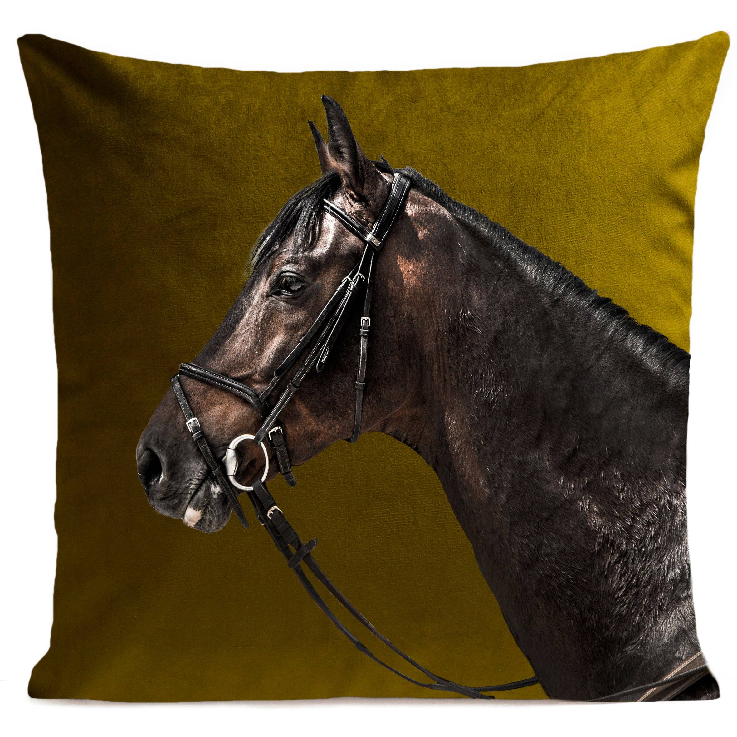 Artpilo - Wholesale Chair Cushion - Racer Cushion2