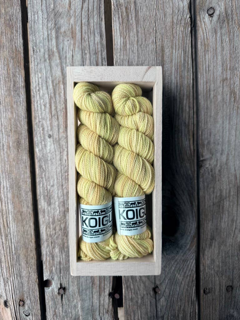 Koigu Wool Designs - Wholesale Yarn - Koigu Sock Crate9