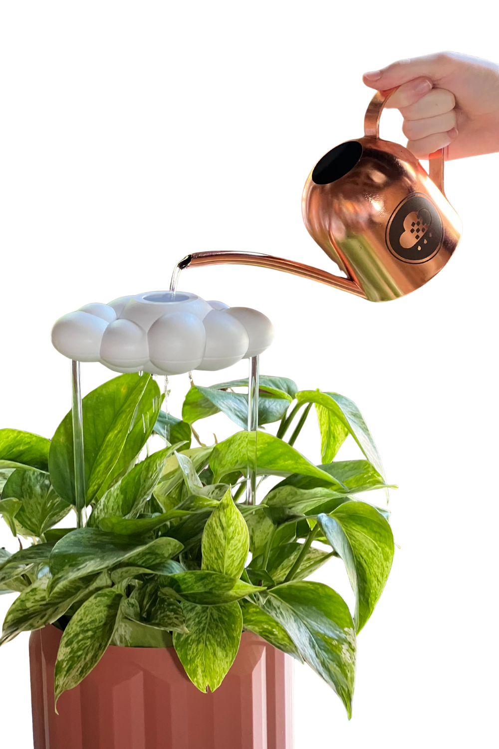 The Cloud Makers - Wholesale Watering Can - Original Dripping Rain Cloud14