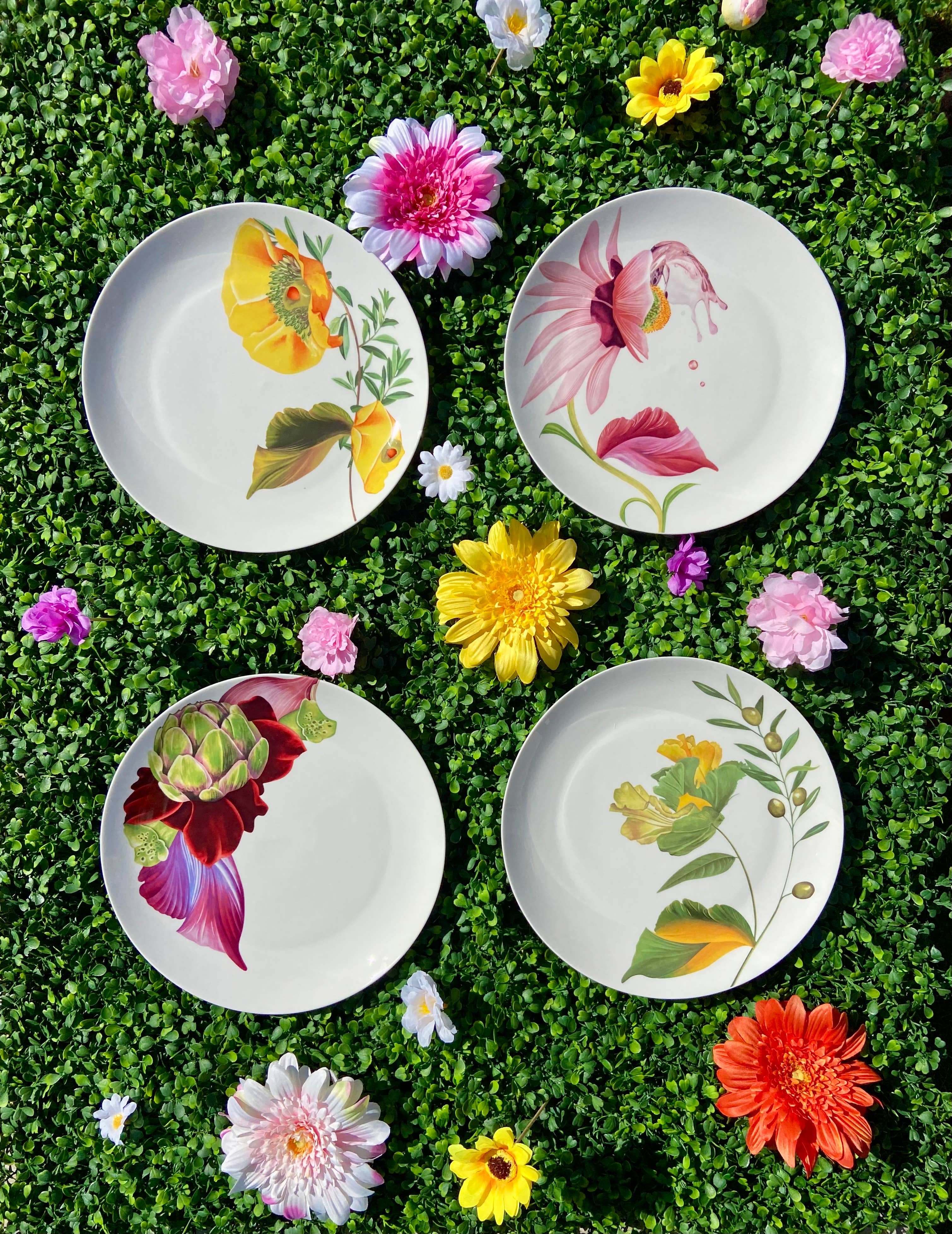 Bordy's - Vendita all'ingrosso Piatto - Botanical Wonders - Set di 4 piatti da cena24