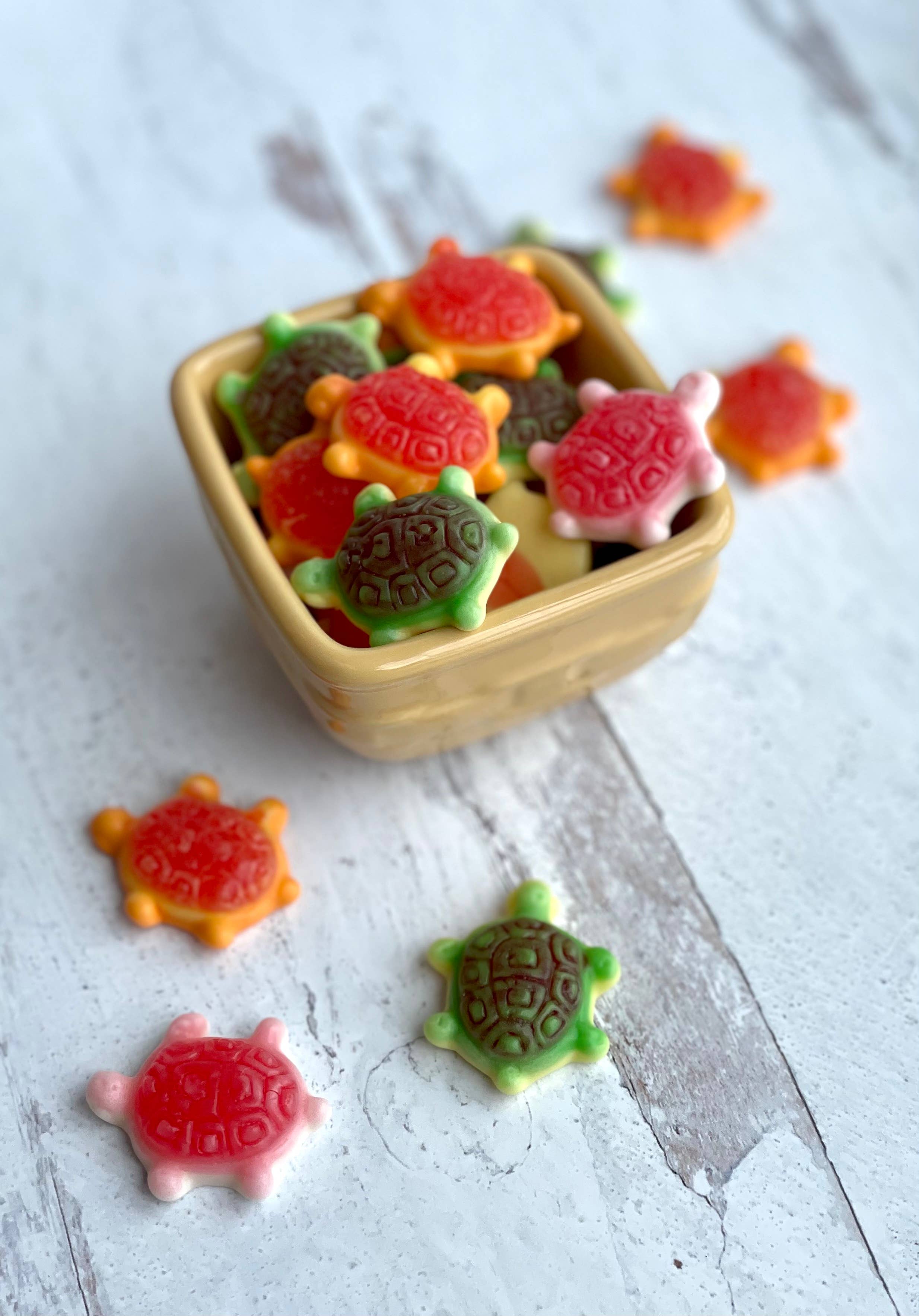 Chocolates Unlimited by Denise - Wholesale Gummy - Gummy Turtles (Jelly Filled)1