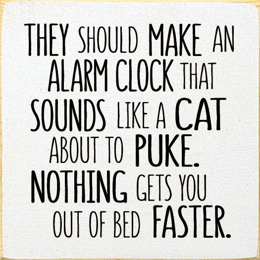 SAWDUST CITY - Wholesale Sign - They should make an alarm clock that sounds like a cat..