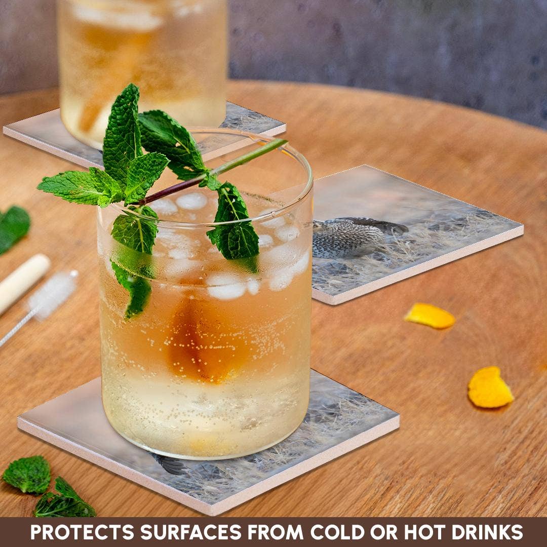 3dRose - Wholesale Coasters - 3dRose, Sharp-tailed grouse claiming lek territory, Coaster2