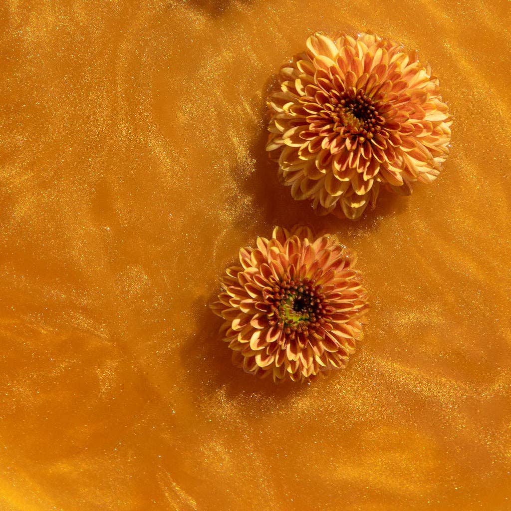 Better Tea Co. - Vendita all'ingrosso Tè sfusi - Sogno Dorato (tè infuso con glitter commestibili)2