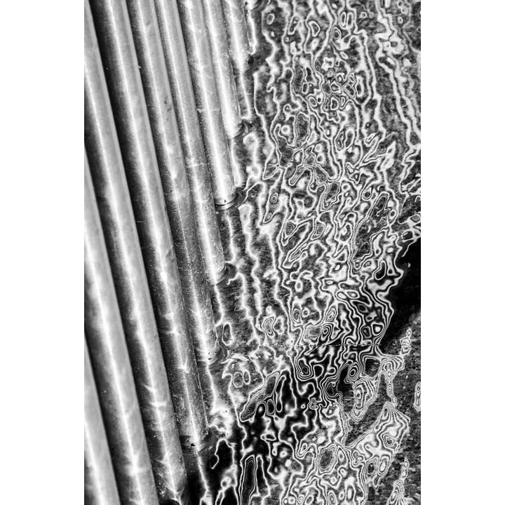 Electrified Bw Fine Art Print for wholesale by Christi Kraft Photography