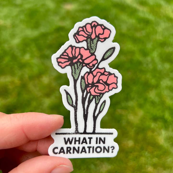 What In Carnation? Sticker | Hilarious Pun Decal | Funny 100 for wholesale by 208T2.0