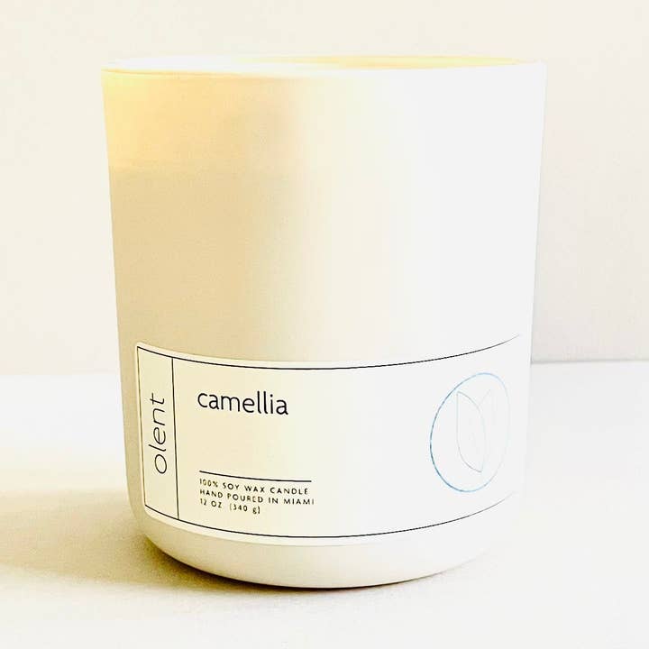 camellia for wholesale by olent