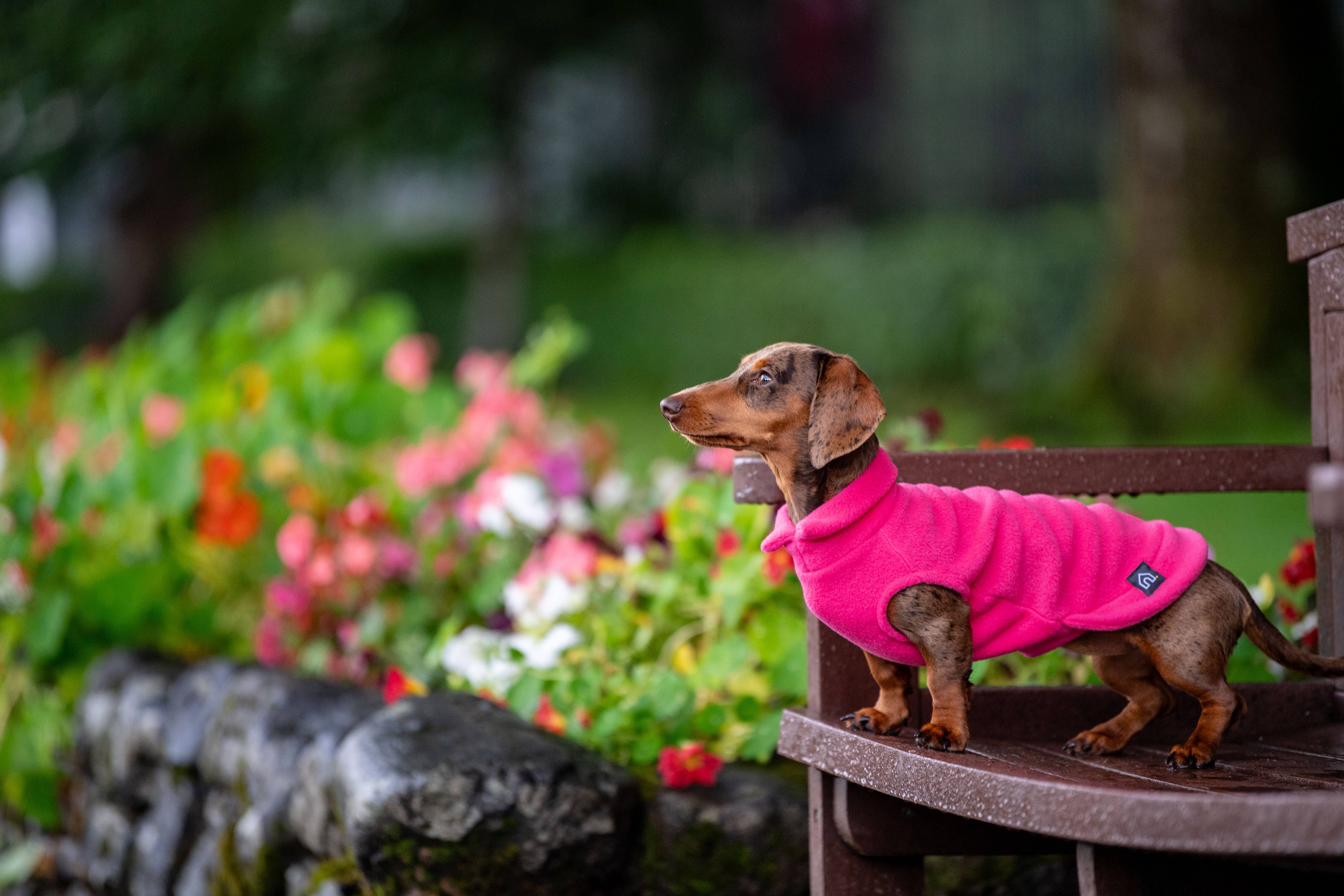 Doghouse – wholesale Pet jumper – Dog – Dachshund Fleece Jumper20