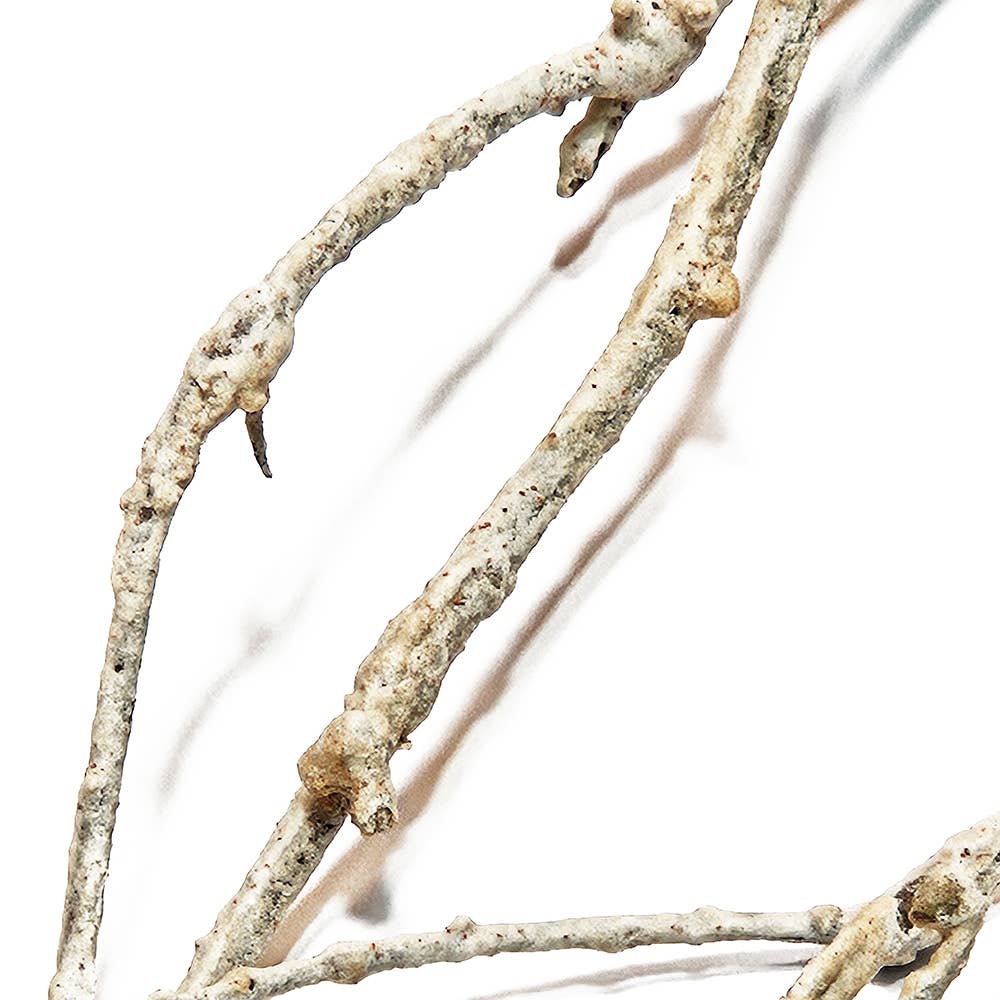 A&B Home Group Inc. – wholesale Decorative tabletop object – 8x3x58.2" Rustic Cedar Branch Decor2