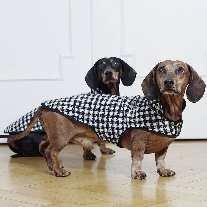 Dachshund Couture - Venta al por mayor Abrigo - Perros - Abrigo para perro salchicha Emily en París en diseño clásico pata de gallo blanco y negro3