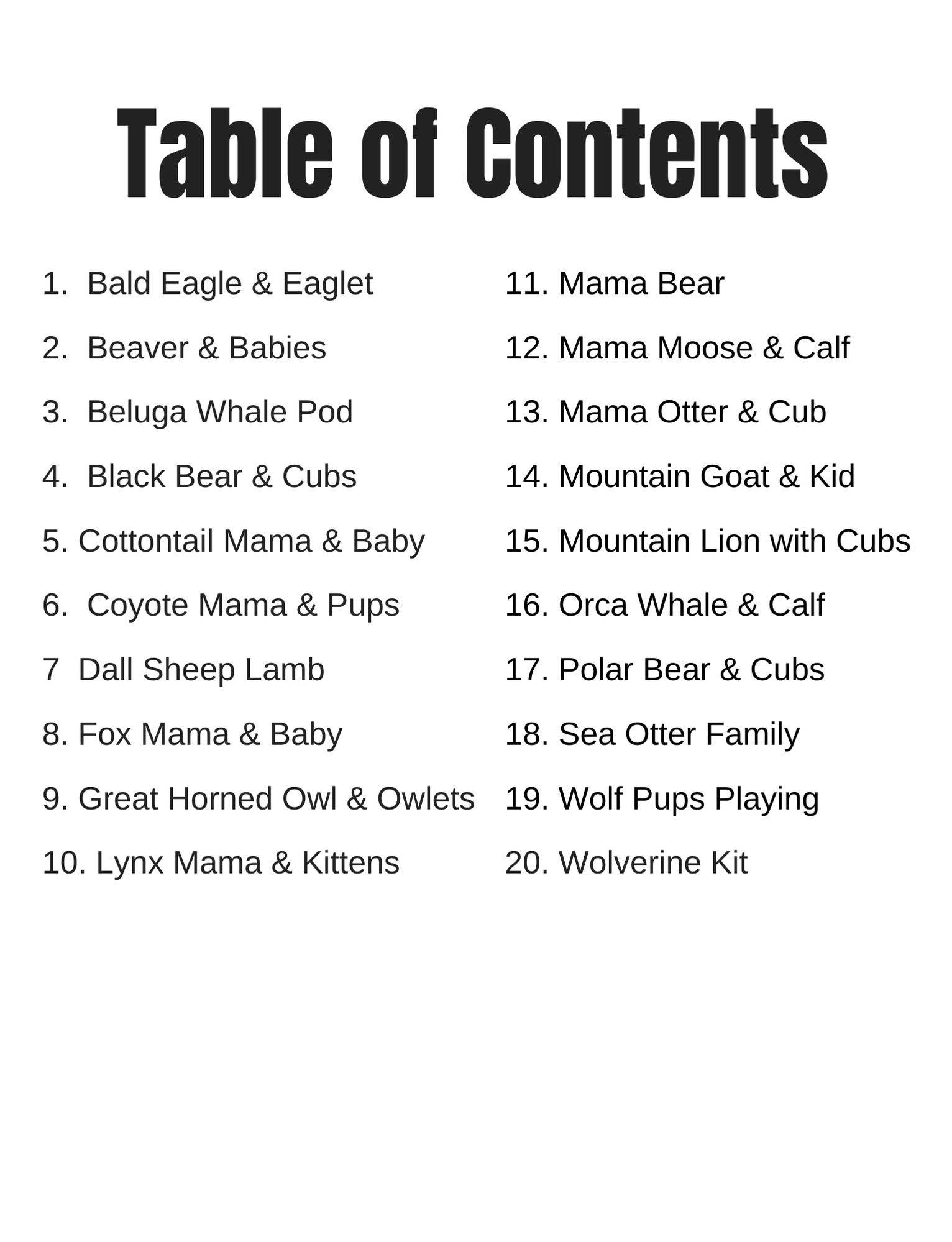 Alaska Wild & Free - Wholesale Kleurboek - Volwassene - Alaska Baby Dieren Kleurboek2