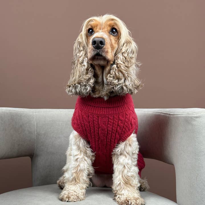 Cocopup London - Wholesale Pet jumper – Dog - Cable Knit Jumper - Mulled Wine8