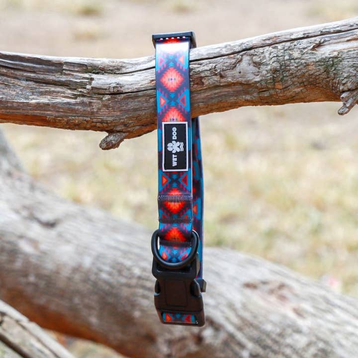 Collier pour chien étanche - Nomad pour la vente par Wet Dog and Co