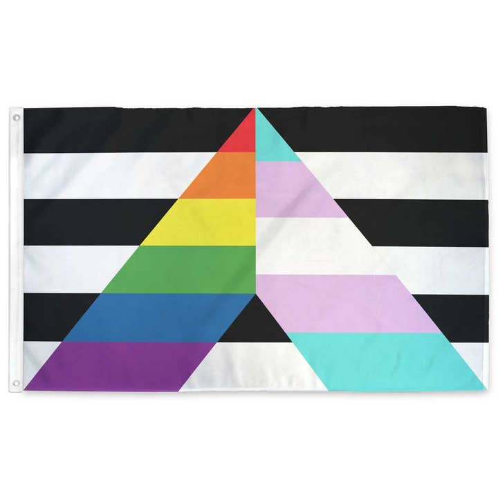 Flags For Good - Wholesale Flag - LGBTQ Ally Flag1