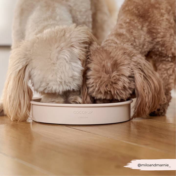 Cocopup London - Wholesale Pet bowl – Cat/dog - Silicone Slow Feed Dog Bowl - Baby Pink Flowers8