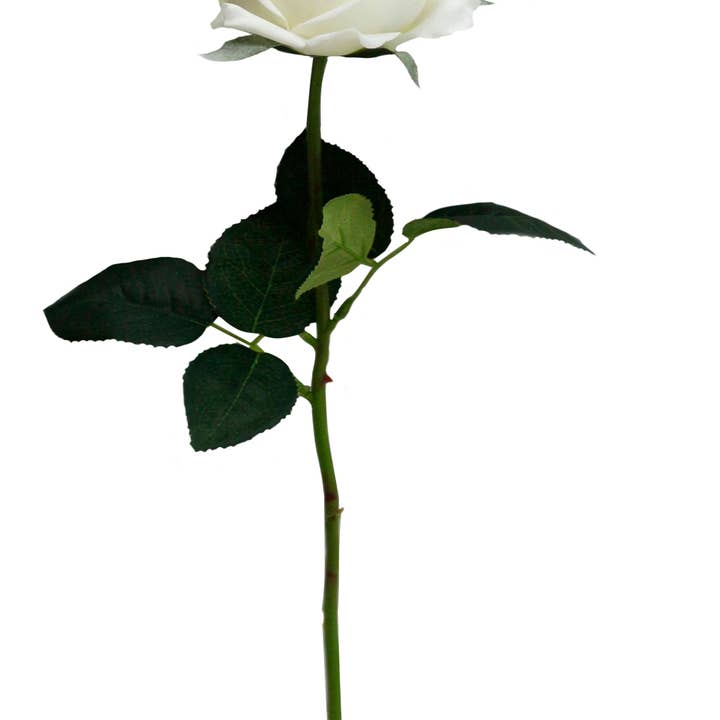 Angel Isabella - Wholesale Artificial flowers - 17"-Ultra Realist Real touch Cabbage Rose-Artificial 2