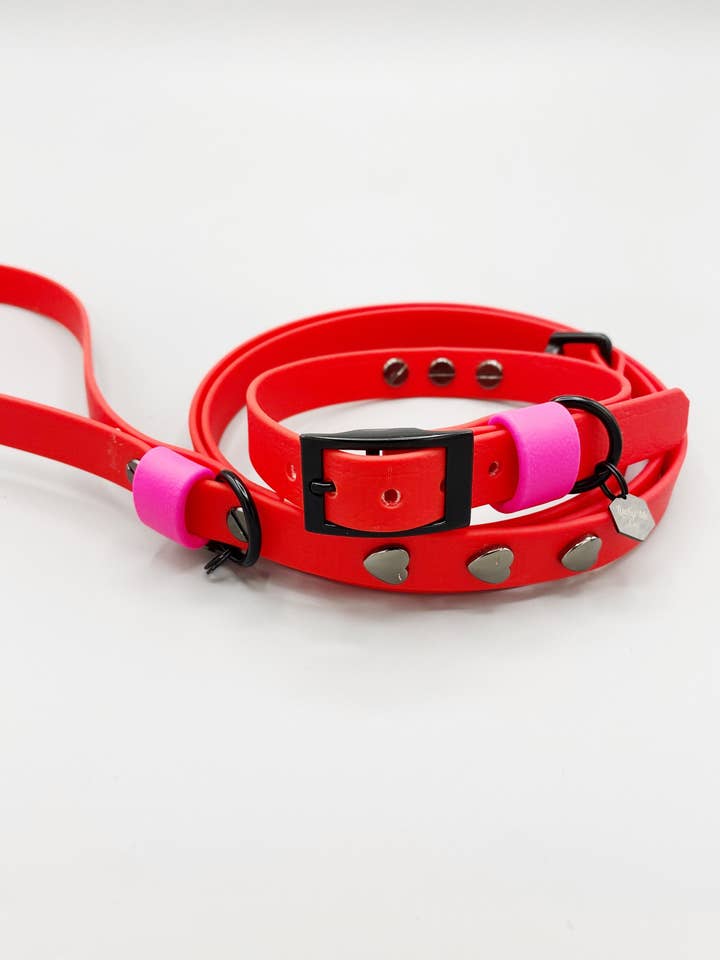 True Love Red Biothane Leash and Collar Set for wholesale by Lucky Me Co