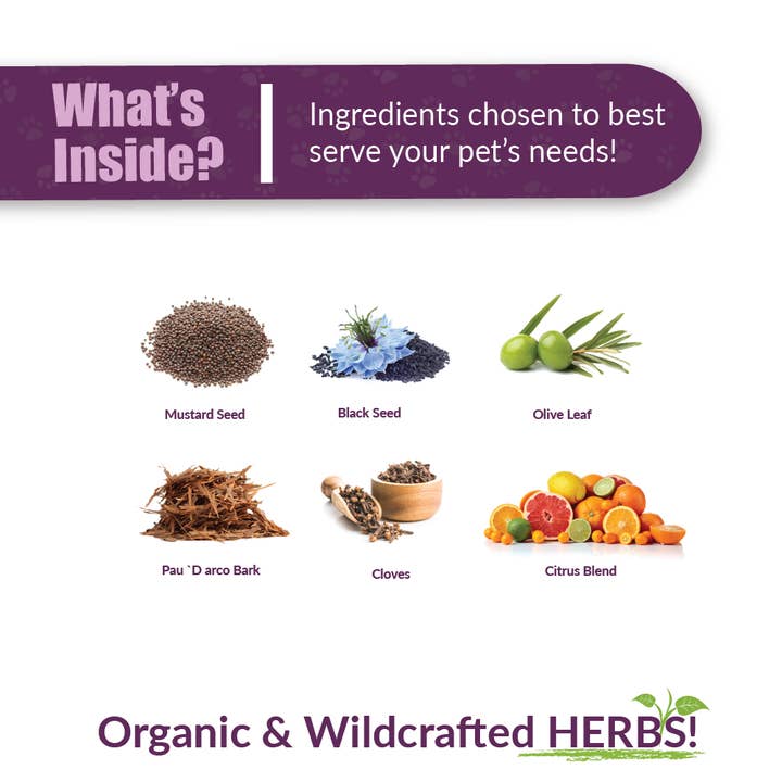 Amber NaturalZ, Inc. - Wholesale Pet Supplement - Cat/Dog - Vibactra | Pet Supplement2