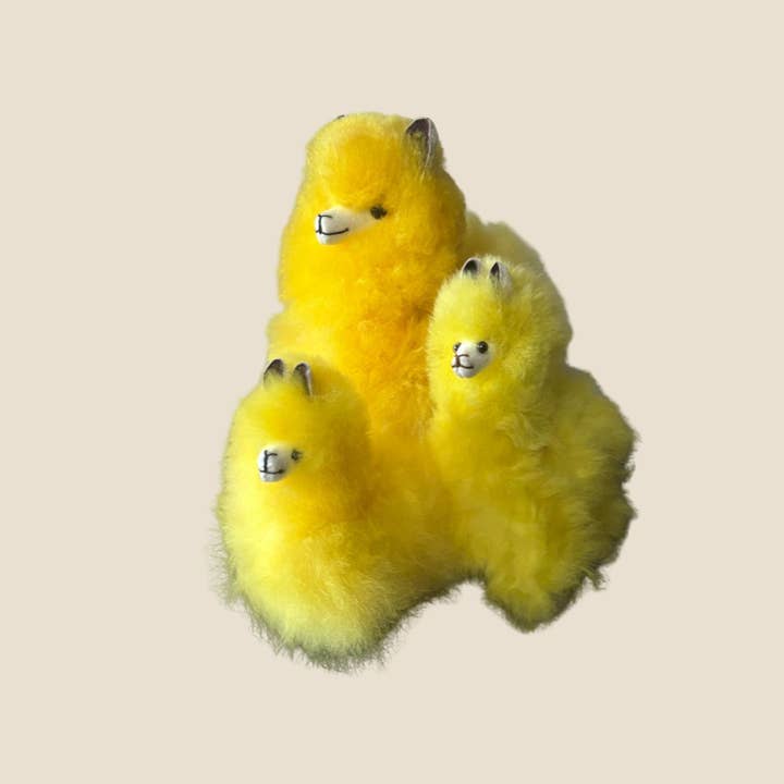 Alpaca Fluffies - Colorful for wholesale by Campo Alpaca