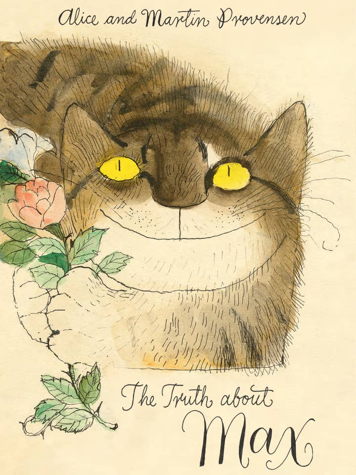 La vérité sur Max pour la vente par Abrams