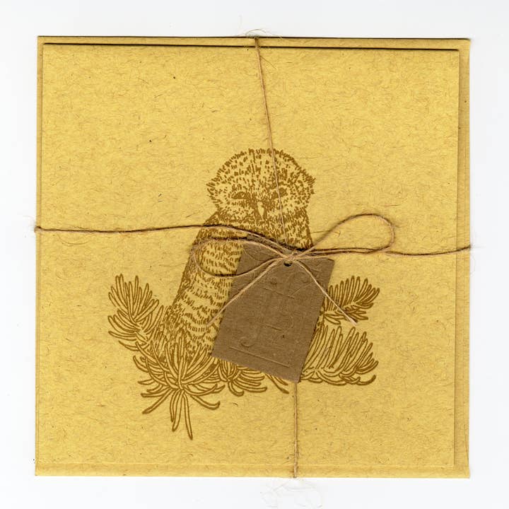 Justina Freel - Vendita all'ingrosso Biglietti di auguri generici - Spotted Owl Forest • Carta tipografica minerale2