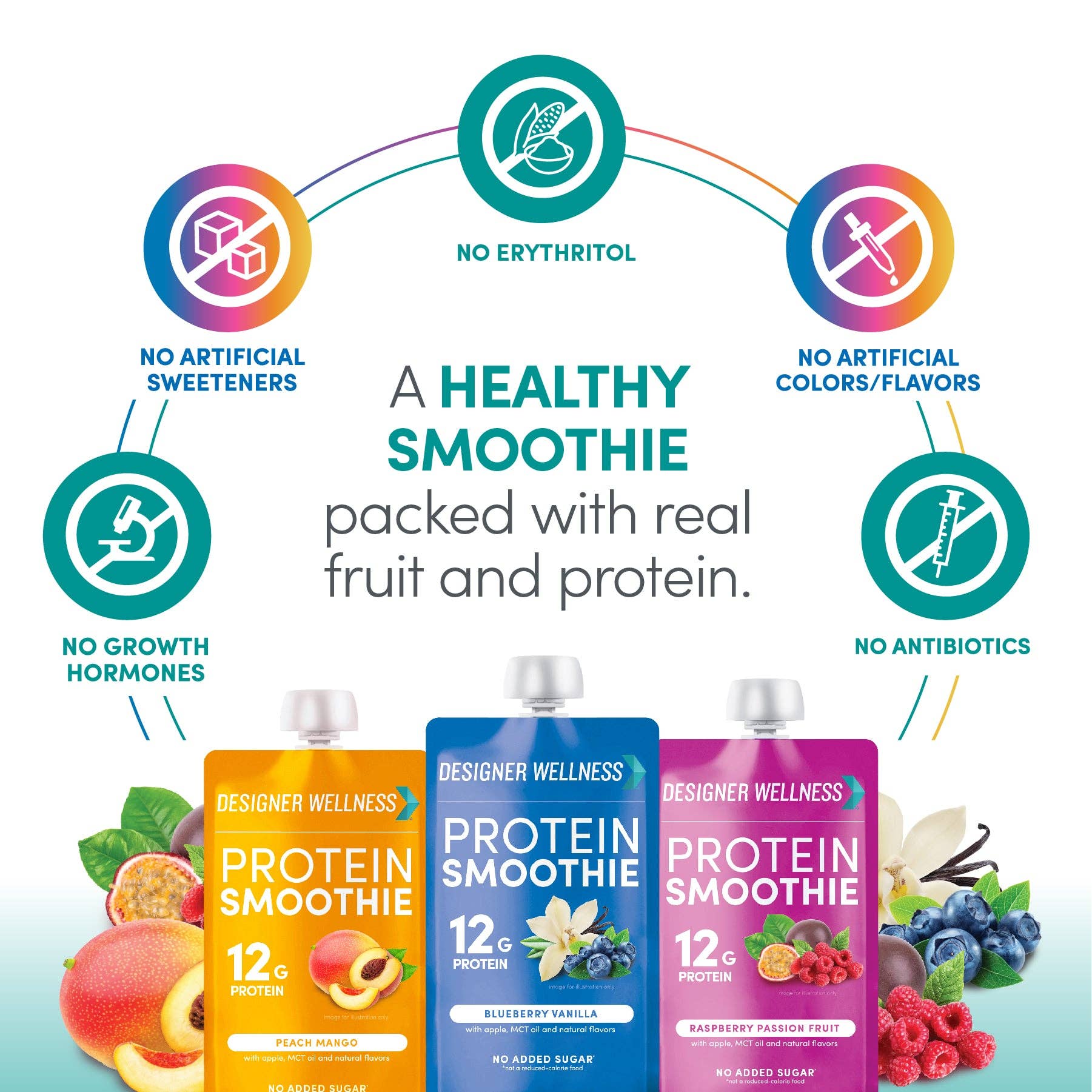 Designer Wellness – wholesale Powdered health drink – Protein Smoothie - Super Fruit Variety 12 pack2
