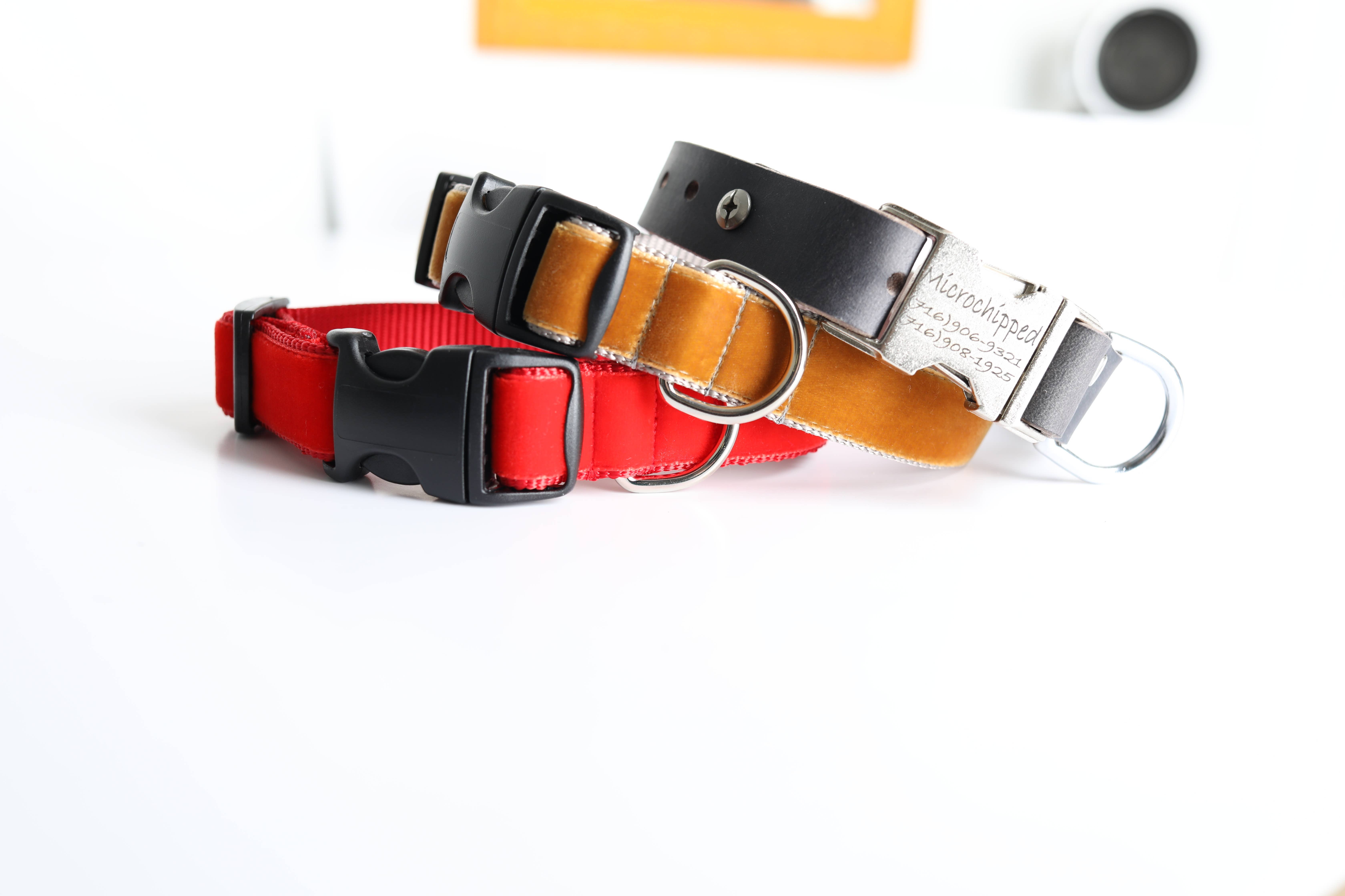 Mimi Green - Wholesale Pet Collar - Dog - Bright Red & Copper Velvet Dog Collars0