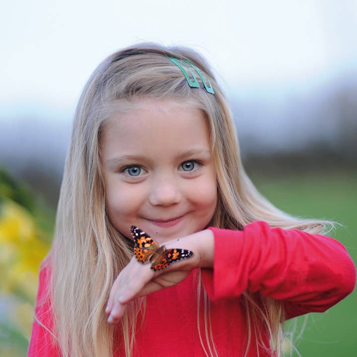 Insect Lore – Großhandel Bastelset – Kinder – Schmetterlingsgarten (Erlösung)3