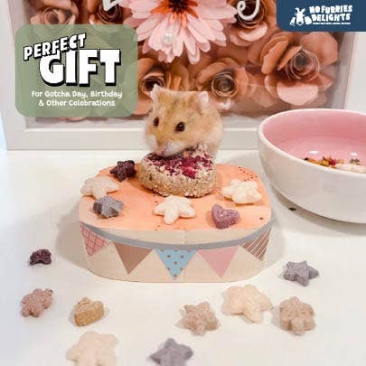 No Furries Delights – wholesale Pet toy – Not cat/dog – BULK 1x1" Palm Cubes8