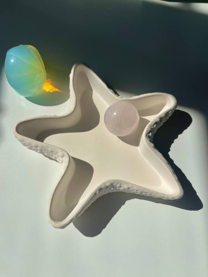 Starfish Dish for wholesale by Oddly Brewed