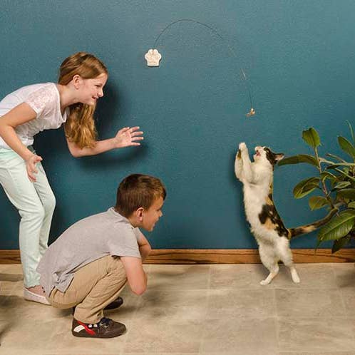 Cat Dancer Products, Inc. - Wholesale Pet Toy - Cat - Cat Dancer Deluxe Cat Toy2