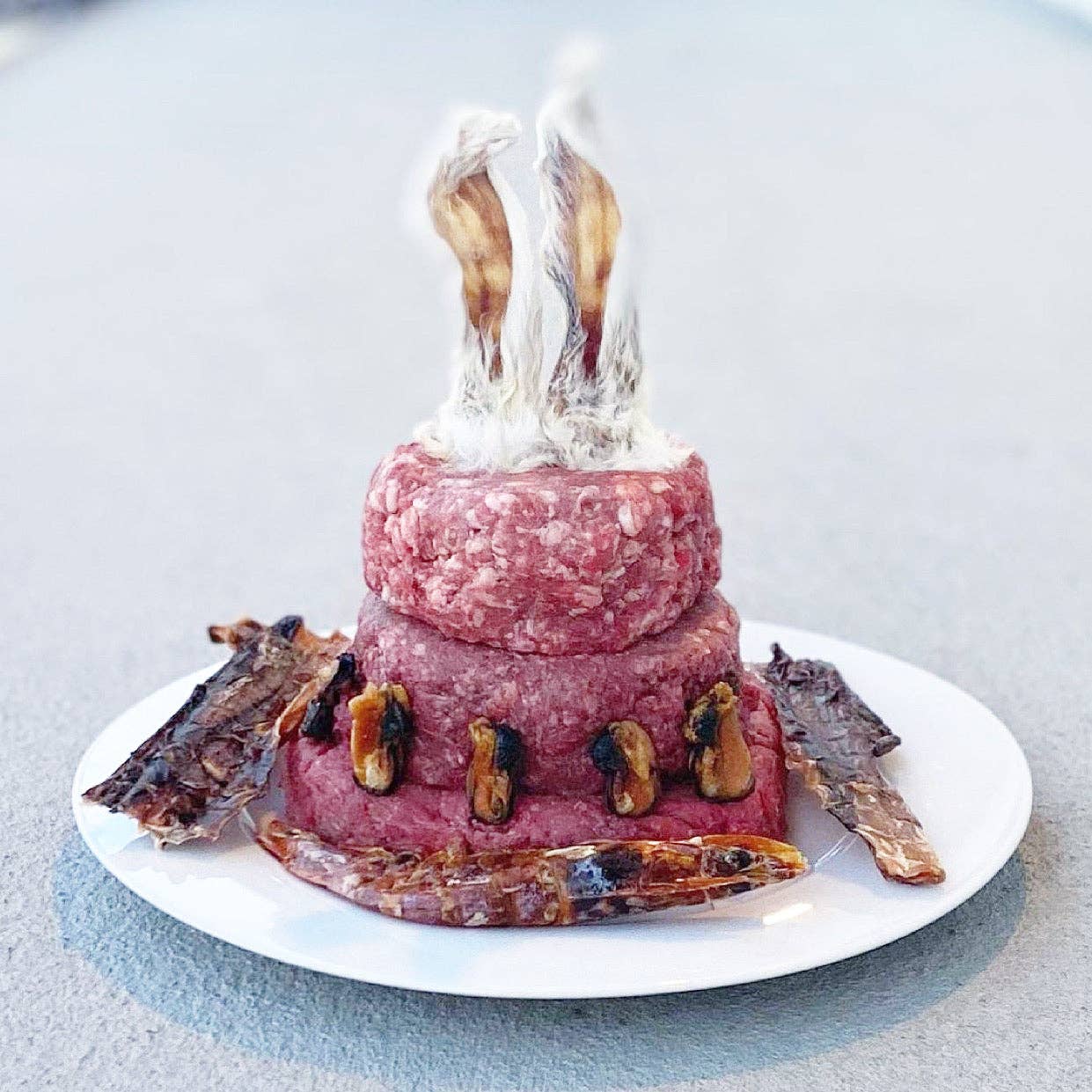 Naked Beasts, Inc. - Wholesale Pet Treats - Dog - Shrimp (+Freeze Dried Options)10