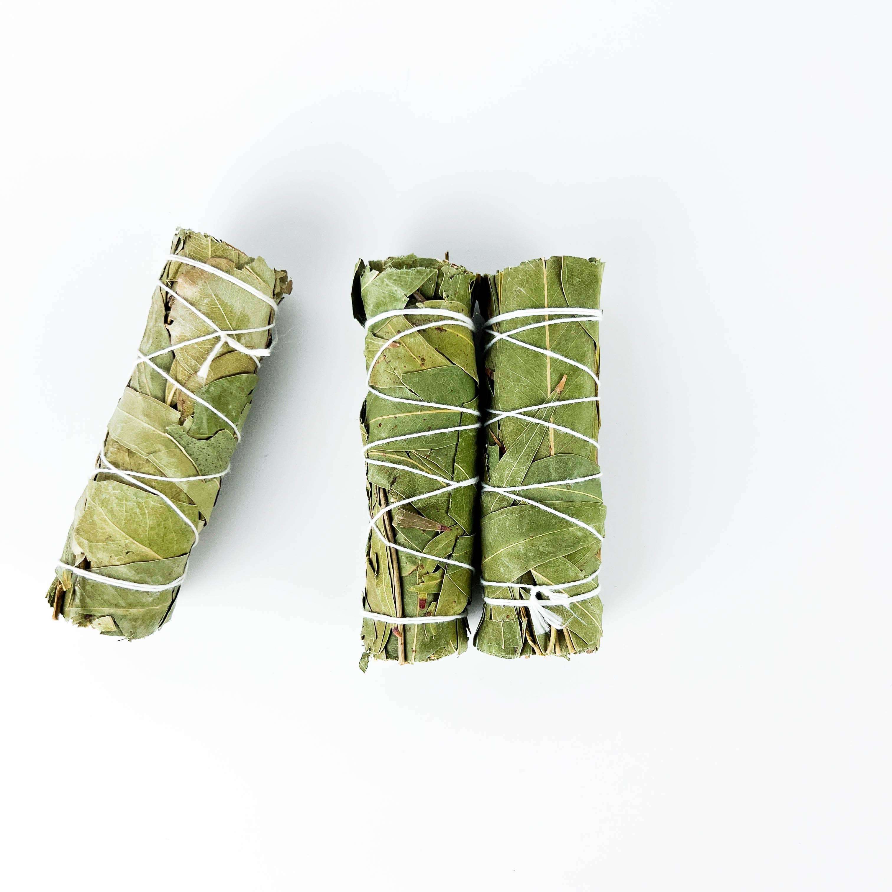 GREENROOTS USA LLC - Wholesale Smudge Stick - Eucalyptus Smudge Stick 4" Bundle For Ceremony, Meditation14