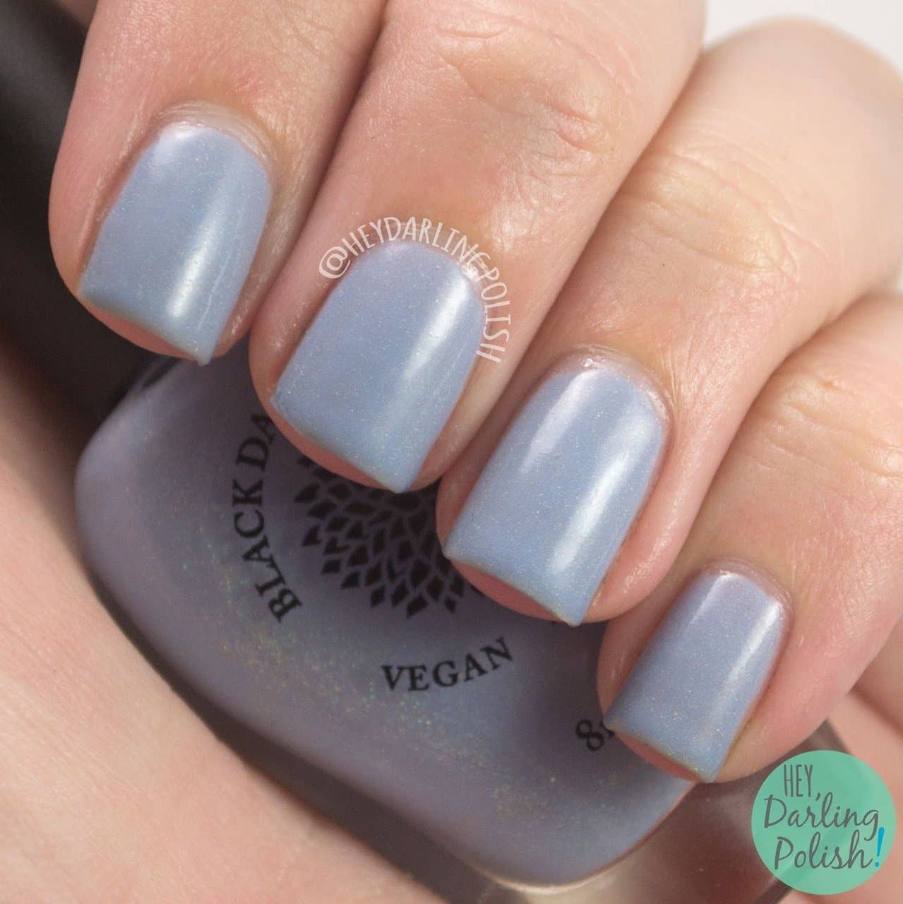 Black Dahlia Lacquer – wholesale Nail polish – African Violets7