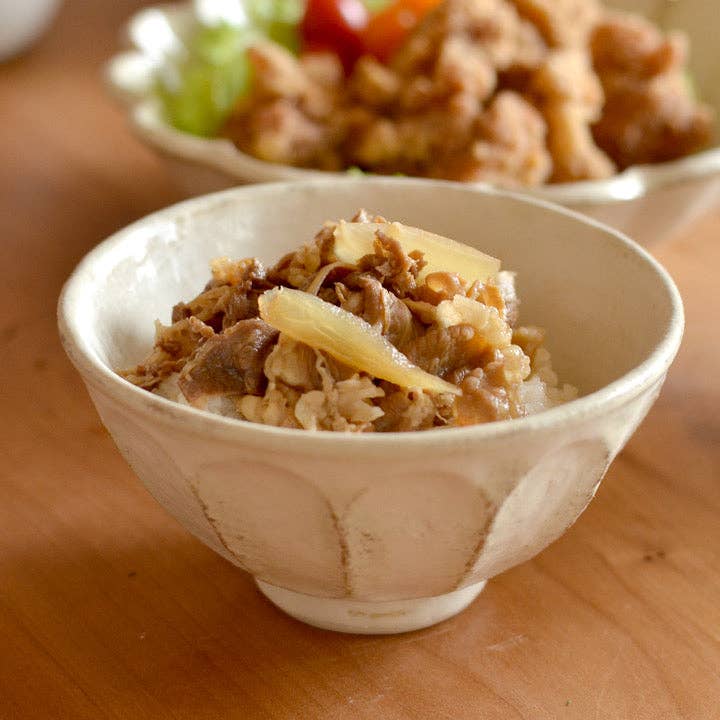 U PLUS INC - Wholesale Bowl - RINKA BOWL BY KANEKO KOHYO White Rinka Bowl Plate13