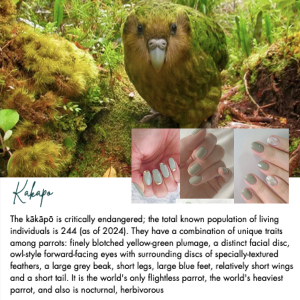 bloop make up made easy - Wholesale Nail polish - WD0033 DUO Water - Based Nail Polish 5ml x 2   0