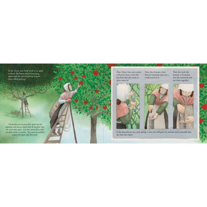 Peter Pauper Press - Wholesale Early Reader Book (6-8) - Granny Smith Was Not an Apple3