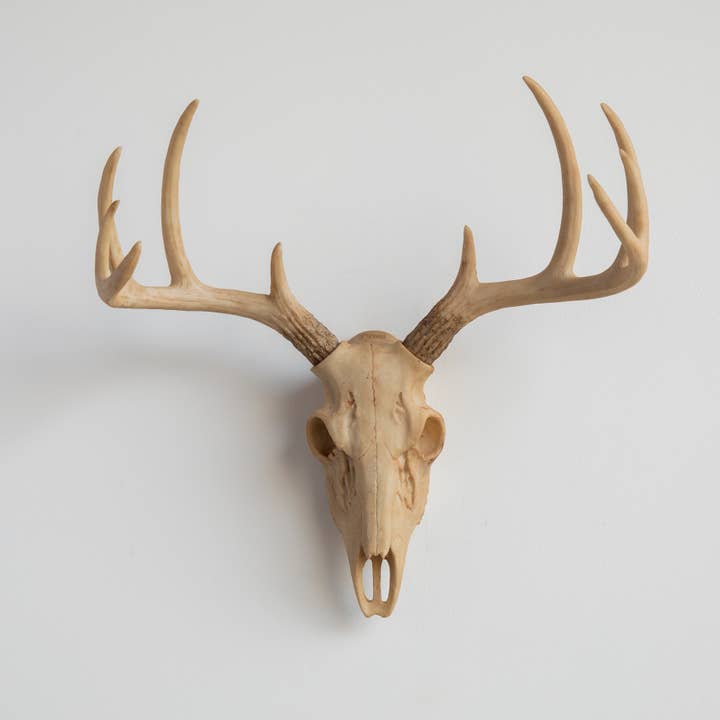 Near and Deer - Wholesale Wall Accent - Faux Mini Buck Skull Wall Mount9