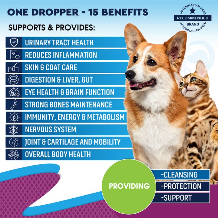 Beloved Pets - Wholesale Pet Supplement - Cat/Dog - Cat & Dog Multivitamin Liquid with Glucosamine & Cranberry
