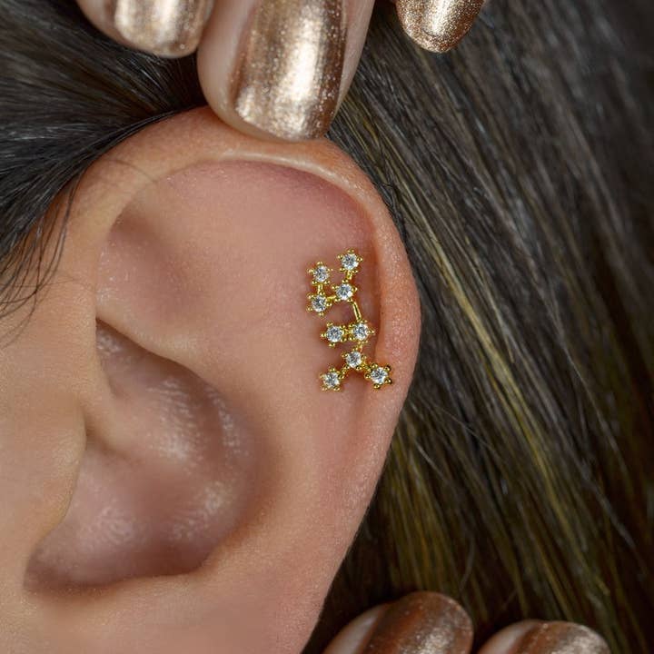 StockJWL - Wholesale Stud/Post Earrings - 12 Zodiac Earrings, Constellation Stud Earring Stud Piercing Tragus Helix Lobe and Cartilage Silver And Gold49