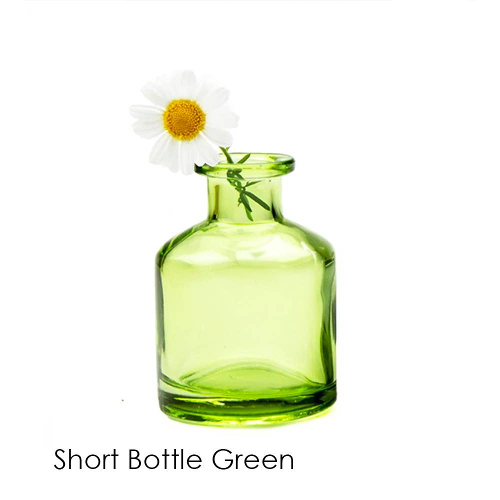 Chive - Wholesale Vase - Loft  Colorful Transparent Bud Vase Set Oval, Round, Square12