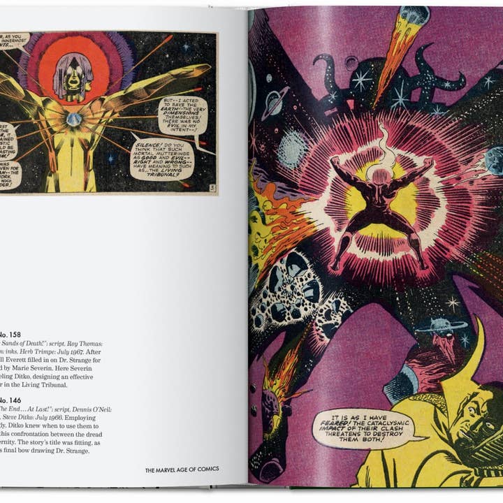 TASCHEN Europe - Wholesale Comic Book - The Marvel Age of Comics 1961–1978. 40th Ed. (German)5