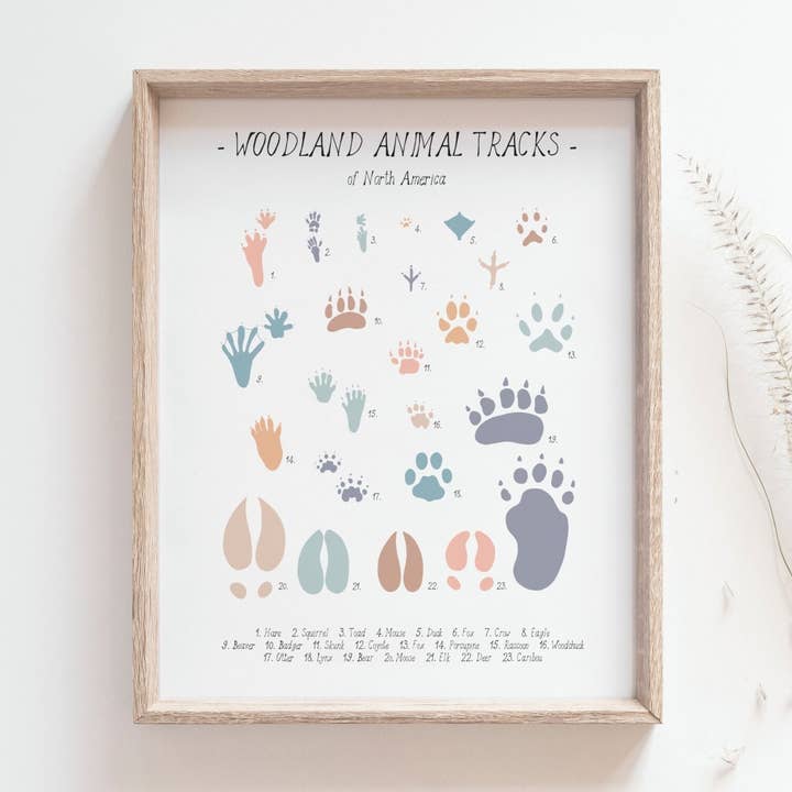 Animal Tracks Illustration / Handmade Giclée Print for wholesale by Bleu Marie Artwork