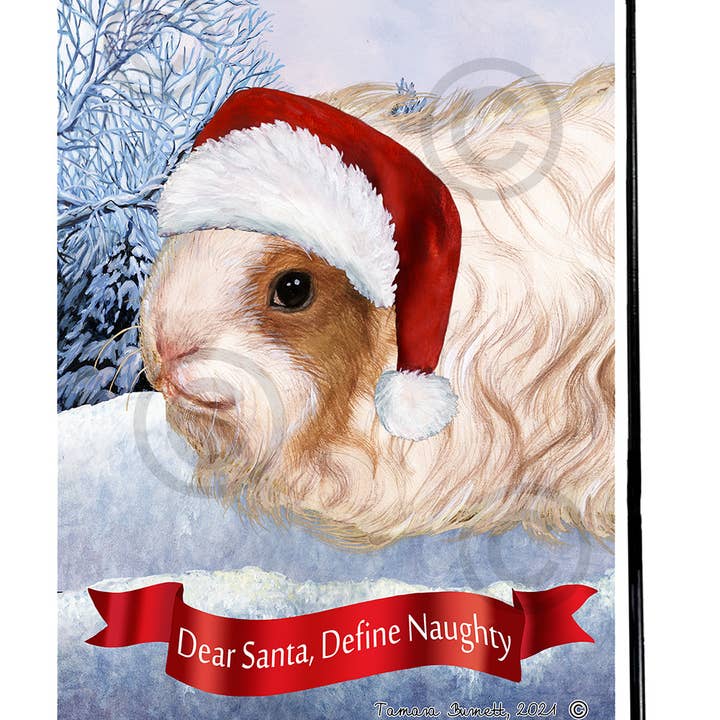 Pet Gifts USA, LLC - Vente Drapeaux - Cochon d'Inde Texel Cher Père Noël, Define Naughty - Garden Fl...