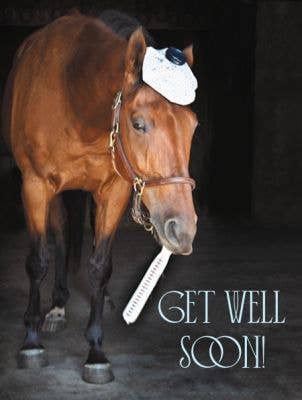 Horse Hollow Press - Wholesale Get Well Card - Horse Get Well Card / Horse & Thermometer / Funny Cute1